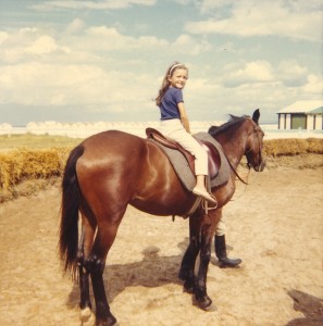1967 cheval brun sit