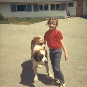 1967 chien sit